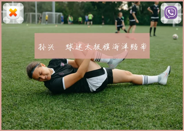 孙兴慜球迷太极旗海洋赔率
