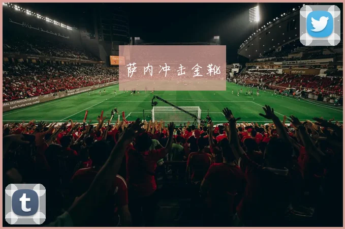 萨内冲击金靴