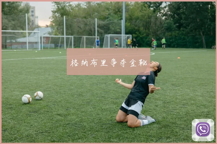 格纳布里争夺金靴