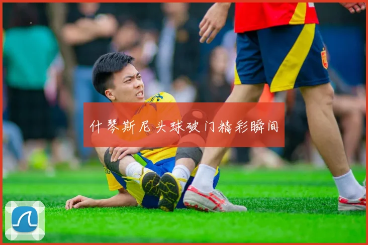 什琴斯尼头球破门精彩瞬间