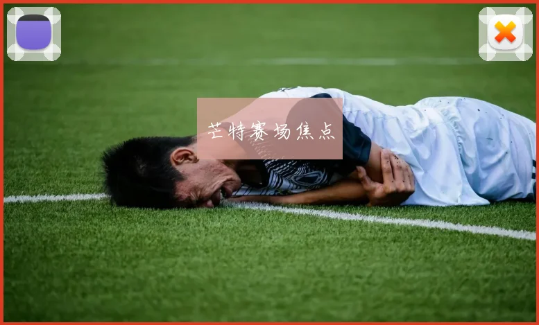 芒特赛场焦点
