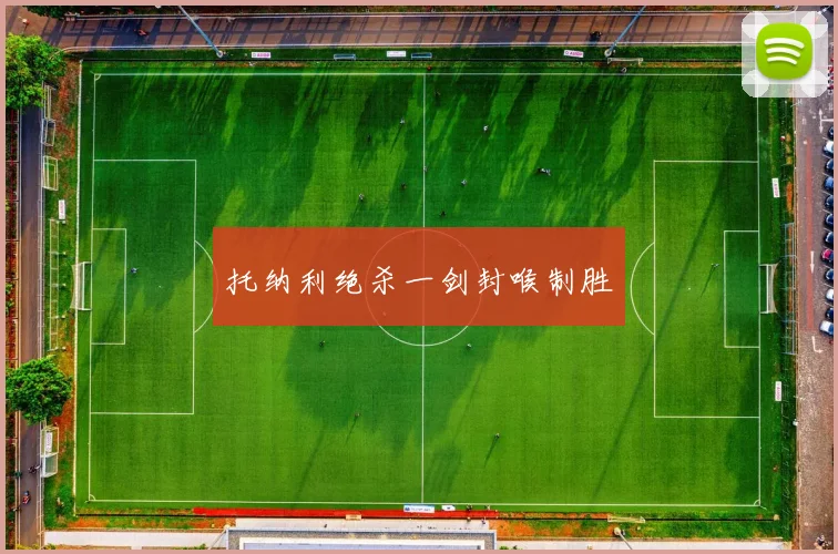 托纳利绝杀一剑封喉制胜