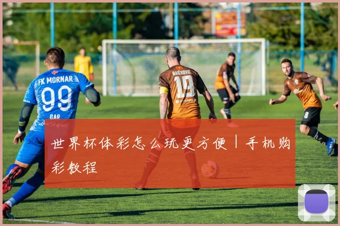 世界杯体彩怎么玩更方便｜手机购彩教程